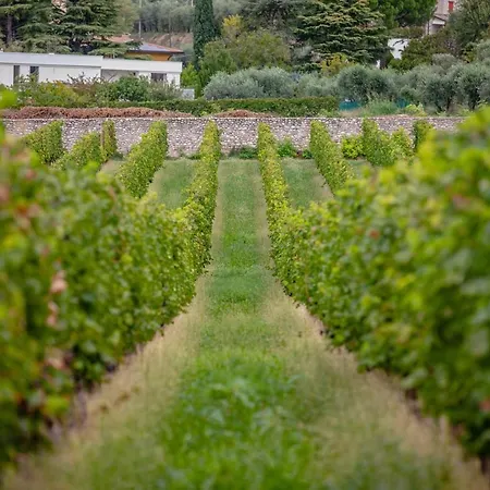 Borgata Levita * Bardolino