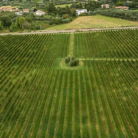 Borgata Levita Apartman