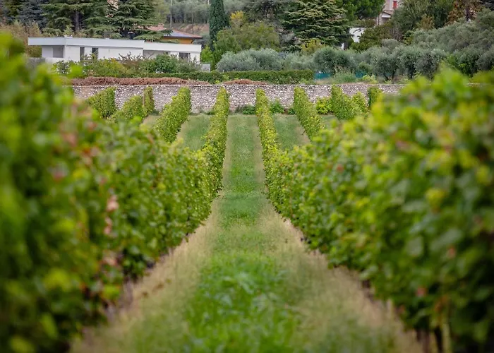 Borgata Levita * Bardolino