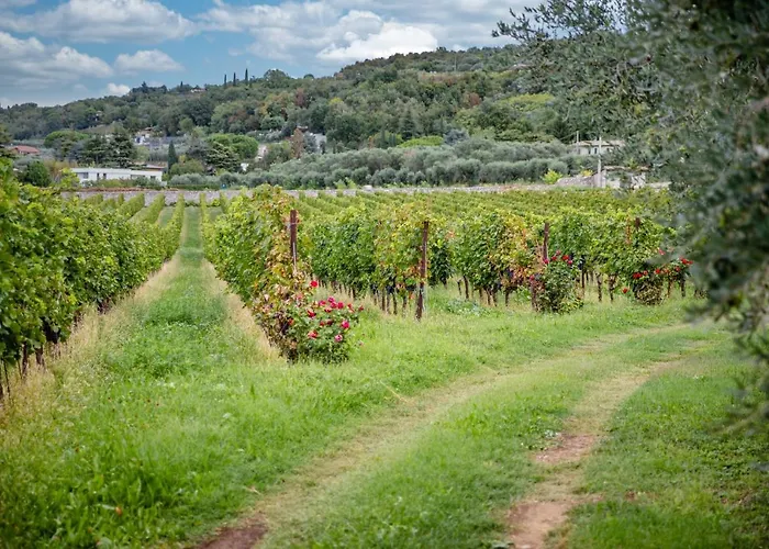 Daire Borgata Levita Bardolino