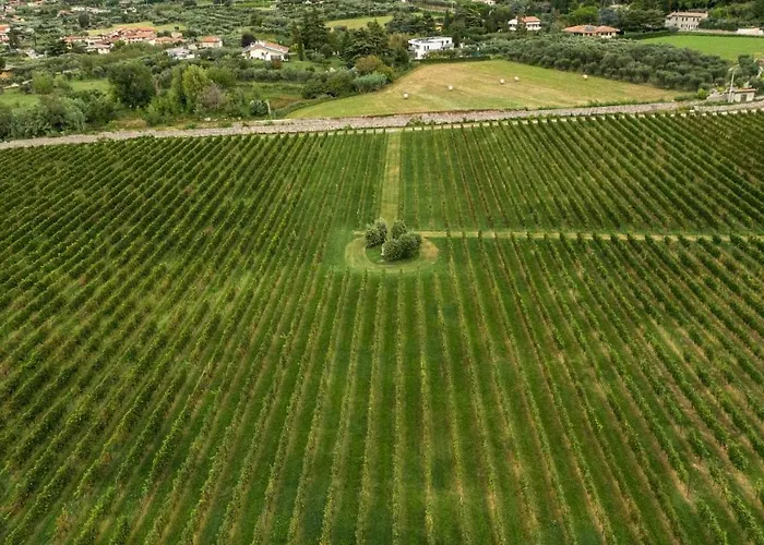 Borgata Levita Daire